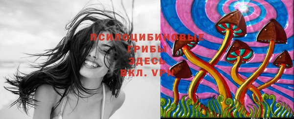 амфетамин Ельня