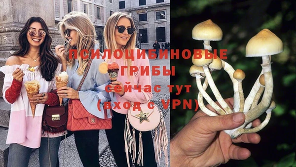 амфетамин Ельня