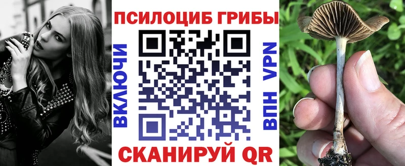 Псилоцибиновые грибы MAGIC MUSHROOMS  Купить  Лагань 