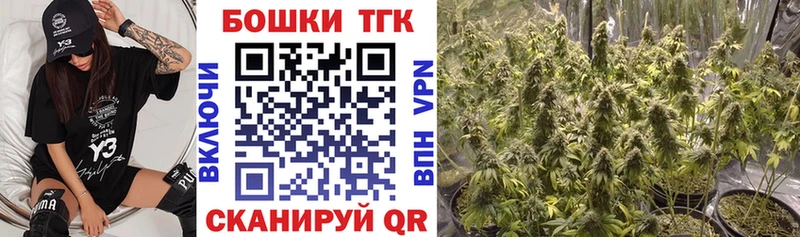 Бошки Шишки конопля  Купить где  Лагань 